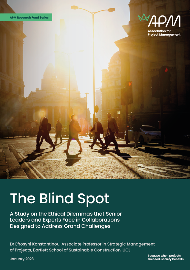 The Blind Spot Cover