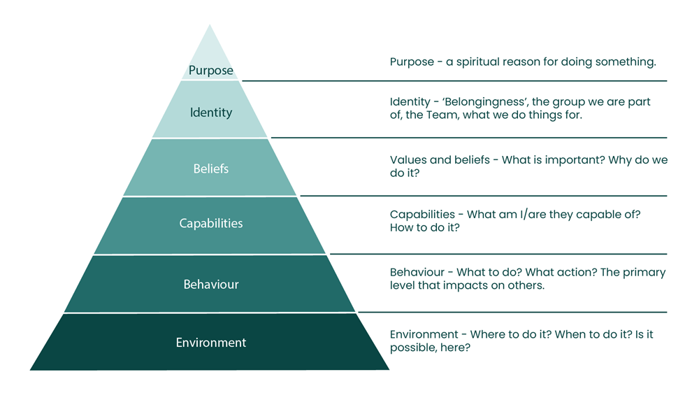 neurological levels/logical levels of change