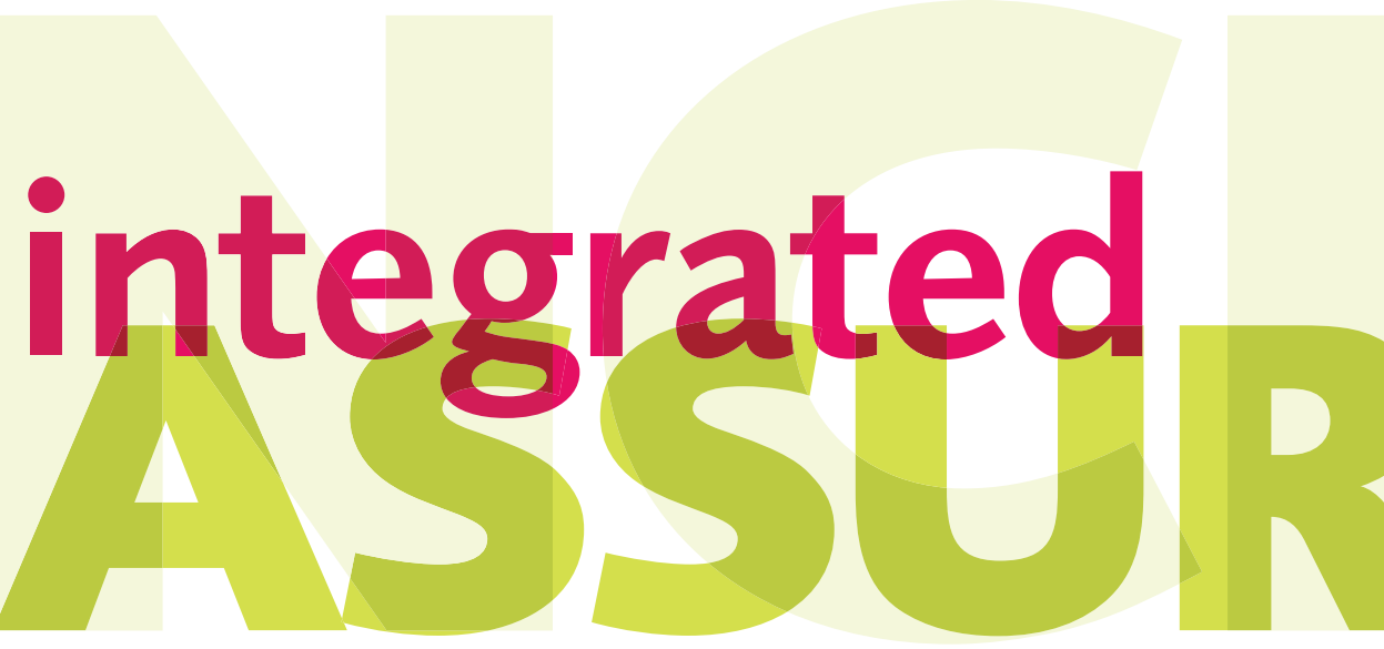 Integrated assessment framework publication logo